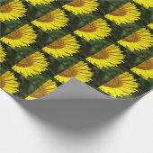 Papier Cadeau Tournesol (Coin)