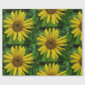 Papier Cadeau Tournesol (Plat)