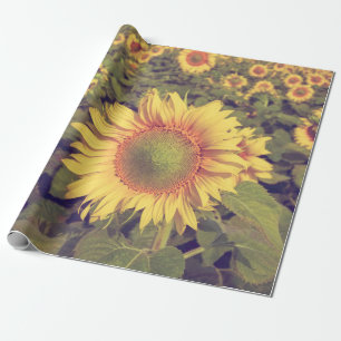 Papier Cadeau Tournesol avec effet filtre style vintage rétro