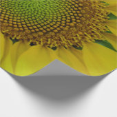 Papier Cadeau Tournesol et graines, Spirale, Ratio doré (Coin)