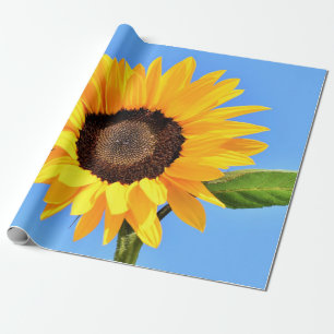 Papier Cadeau Tournesol jaune contre soleil sur ciel bleu - été