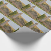 Papier Cadeau Tours rondes irlandaises âgées de plus de 1000 ans (Coin)