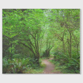 Papier Cadeau Traînée dans la forêt de séquoia (Plat)