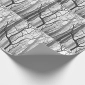 Papier Cadeau Tree Fog Nature Photographie (Coin)