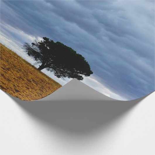 Papier Cadeau Tree in an empty field (Coin)