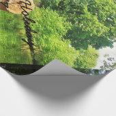 Papier Cadeau Tree Trunk Nature Photographie Parc du lac (Coin)