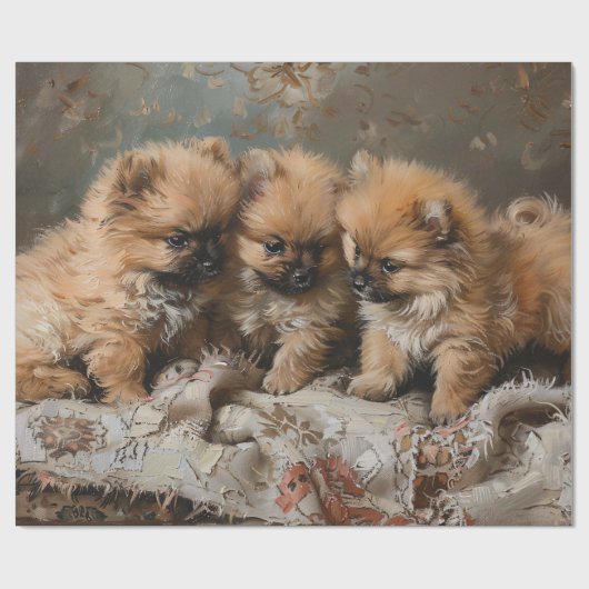 Papier Cadeau Trio Chiot Poméranien Découpage Vintage (Plat)