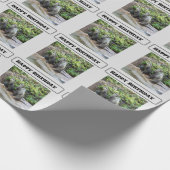 Papier Cadeau **"Triple Trouble : Les Aventures de Otter Triplet (Coin)