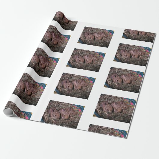 Papier Cadeau "Trois de suite" (Déroulé)