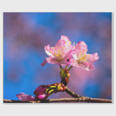 Papier Cadeau Trois fleurs Sakura éclairées (Plat)