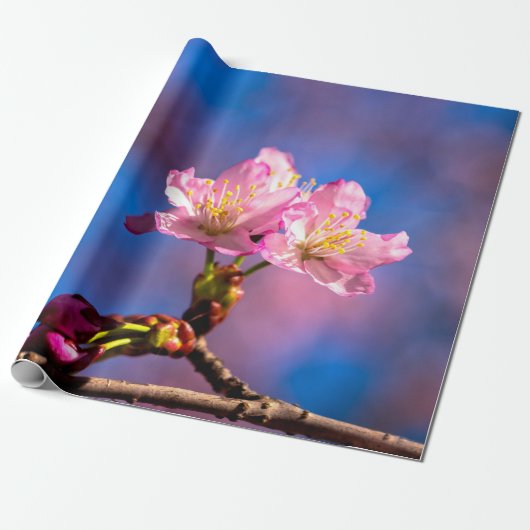 Papier Cadeau Trois fleurs Sakura éclairées (Déroulé)