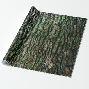 Papier Cadeau Tronc d'arbre (écorce en bois)