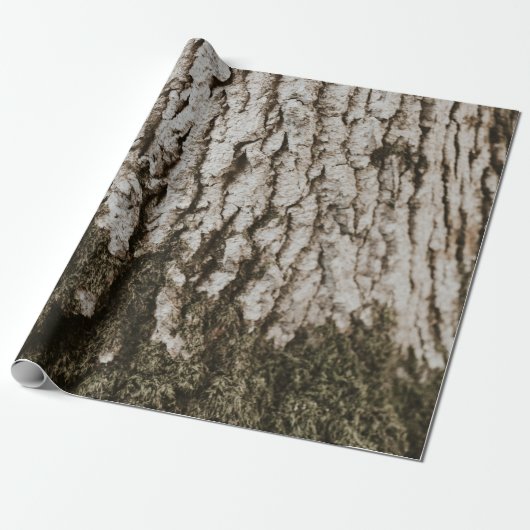 Papier Cadeau Tronc d'arbre gris (Déroulé)