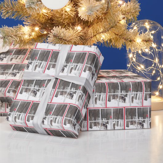 Papier Cadeau Troupeau de cerfs dans les bois d'hiver (Vacances)