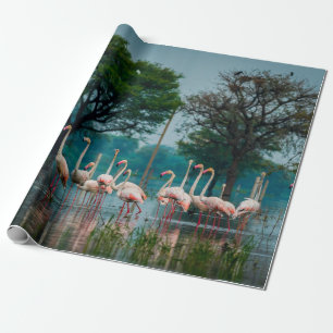 Papier Cadeau Troupeau de flamants roses dans l'habitat naturel.