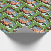 Papier Cadeau Trump Christmas Funny (Coin)