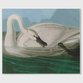 Papier Cadeau Trumpeter Swan Birds of America Audubon Imprimer (Plat)