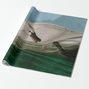 Papier Cadeau Trumpeter Swan Birds of America Audubon Imprimer