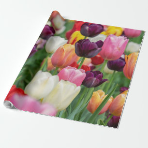 Papier Cadeau Tulip Fleurs de printemps Jardin Floral Jaune rose