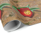 Papier Cadeau Tulipe rouge du printemps (Coin rond)