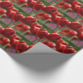 Papier Cadeau Tulipes (Coin)