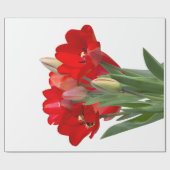 Papier Cadeau Tulipes (Plat)