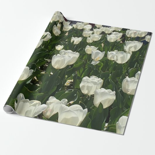 Papier Cadeau Tulipes blanches pour une fleur sensible (Déroulé)