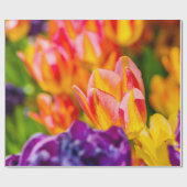 Papier Cadeau Tulipes Enchantant (Plat)