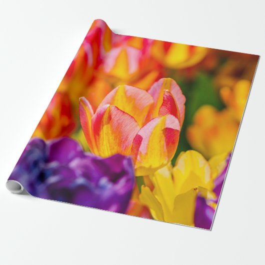 Papier Cadeau Tulipes Enchantant (Déroulé)