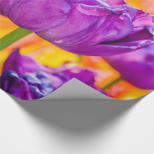 Papier Cadeau Tulipes Enchantant violet (Coin)