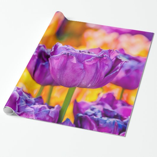 Papier Cadeau Tulipes Enchantant violet (Déroulé)