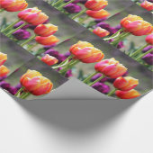 Papier Cadeau Tulipes tombées flammes (Coin)