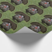 Papier Cadeau Turquie (Coin)