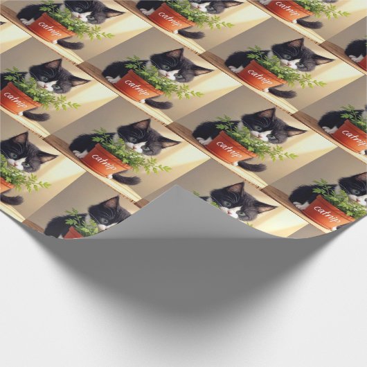 Papier Cadeau Tuxedo Chat Avec Plante Catnip (Coin)