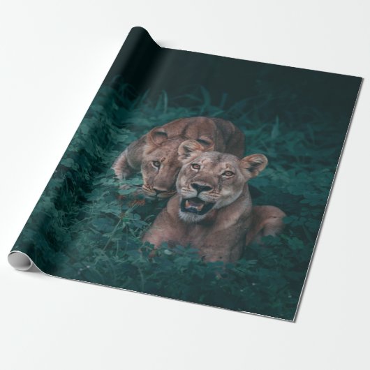 PAPIER CADEAU TWO LIONESS ON GREEN PLANTS (Déroulé)
