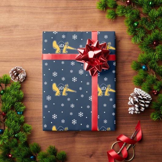 Papier Cadeau UC Irvine | Anteaters UCI (Cadeau de vacances)