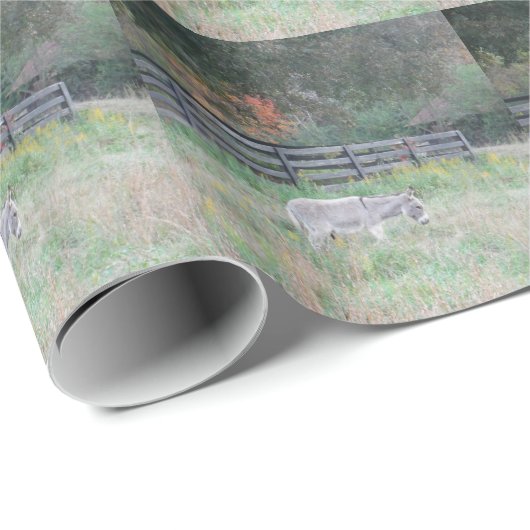 Papier Cadeau Un âne dans un champ d'automne. (Coin rond)