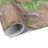 Papier Cadeau Un cerf dans l'herbe haute (Coin rond)