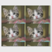 Papier Cadeau Un chaton mignon avec des yeux verts (Plat)