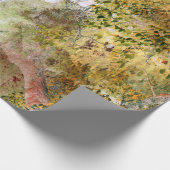 Papier Cadeau Un chêne à l'automne. (Coin)