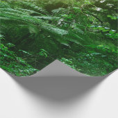 Papier Cadeau Un couvert d'arbres illuminé dans la jungle tropic (Coin)