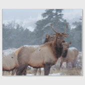 PAPIER CADEAU UN GROUPE DE DEERS (Plat)