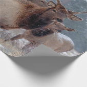 PAPIER CADEAU UN GROUPE DE DEERS (Coin)