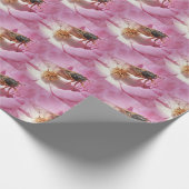 Papier Cadeau Un nouveau Cicada en fleurs (Coin)