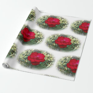 Papier Cadeau Un rose solitaire