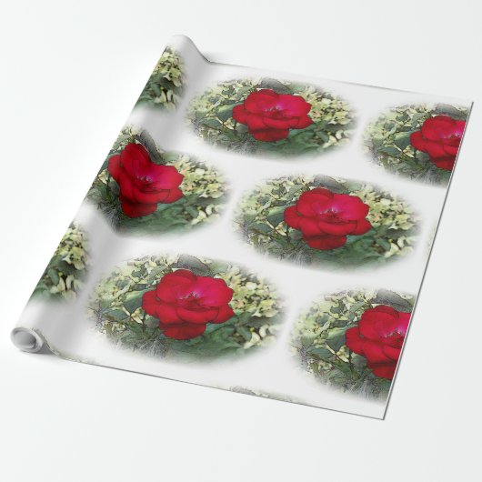 Papier Cadeau Un rose solitaire (Déroulé)