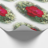 Papier Cadeau Un rose solitaire (Coin)