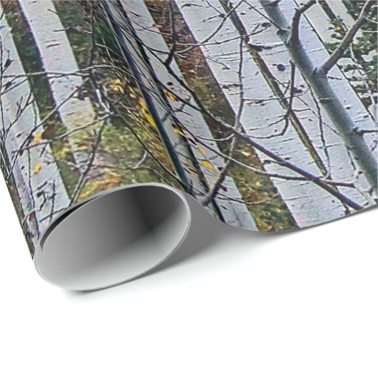 Papier Cadeau Un tremble en automne (Coin rond)