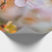 Papier Cadeau Une Fleur De Sakura De Charme Sur Une Brindille Au (Coin)