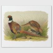 Papier Cadeau Une paire de faisans étranglés d'anneau dans un (Plat)